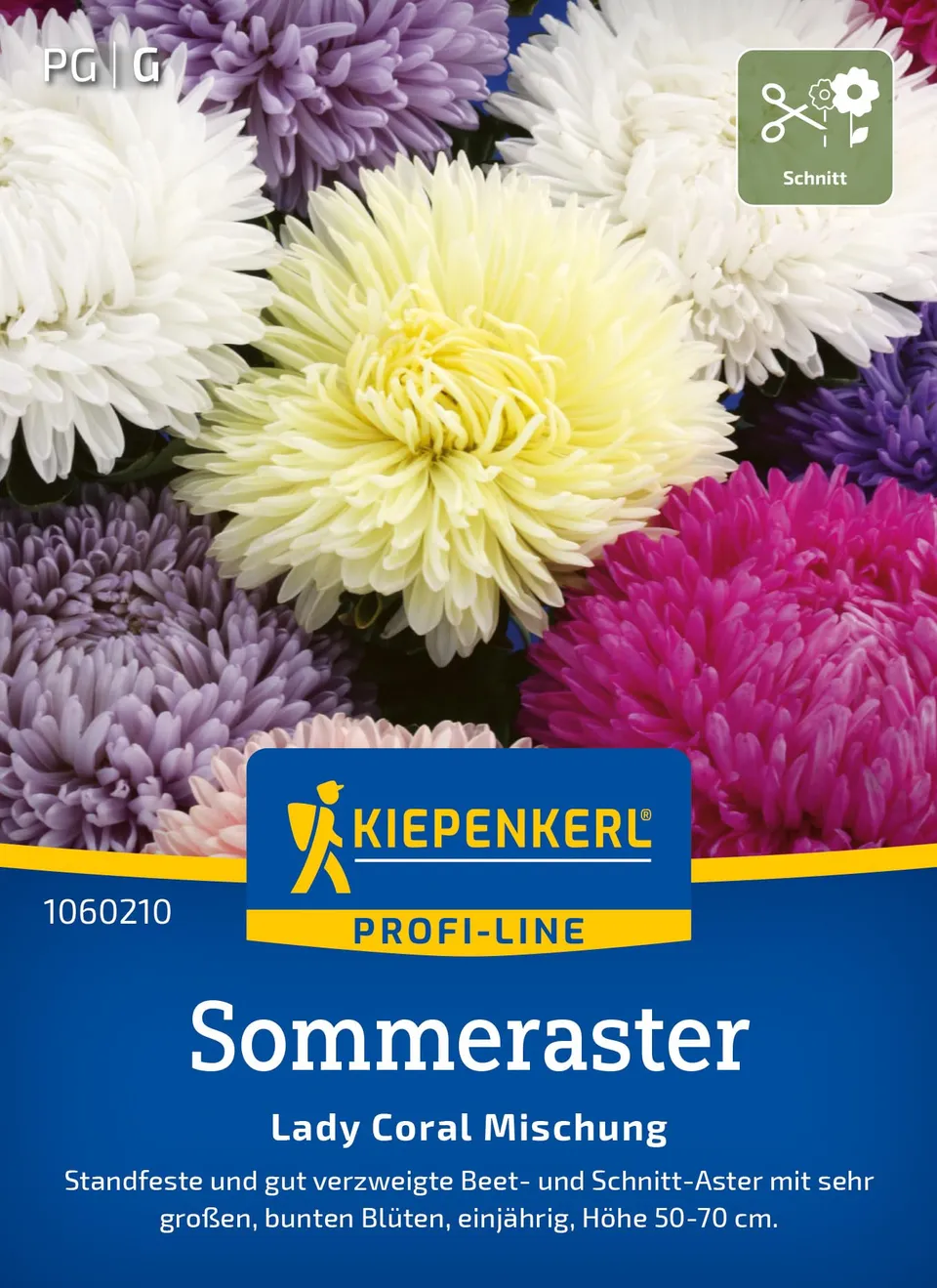 kiepenkerl-sommeraster-lady-coral-mischung-1060210-blumensamen image 1