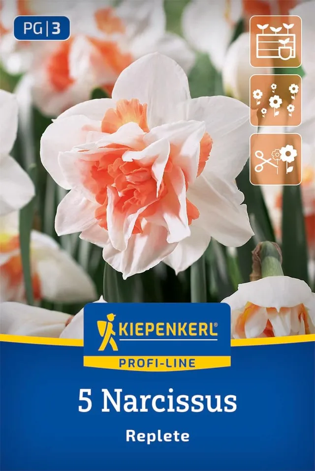 kiepenkerl-profi-line-gef-llte-narzisse-replete-blumenzwiebeln image 1