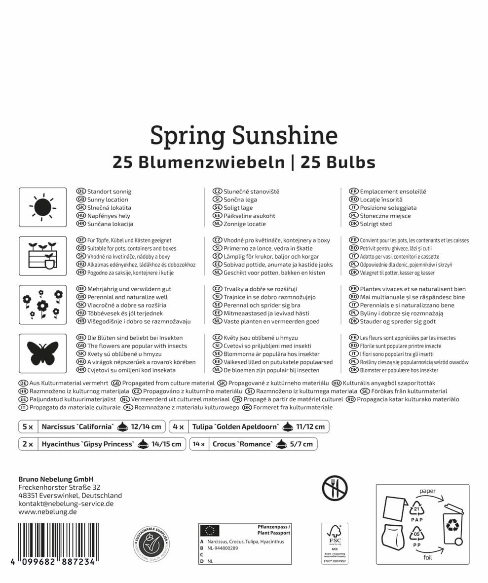 kiepenkerl-mega-pack-spring-sunshine-mix-gelbe-fr-hbl-hermischung image 2