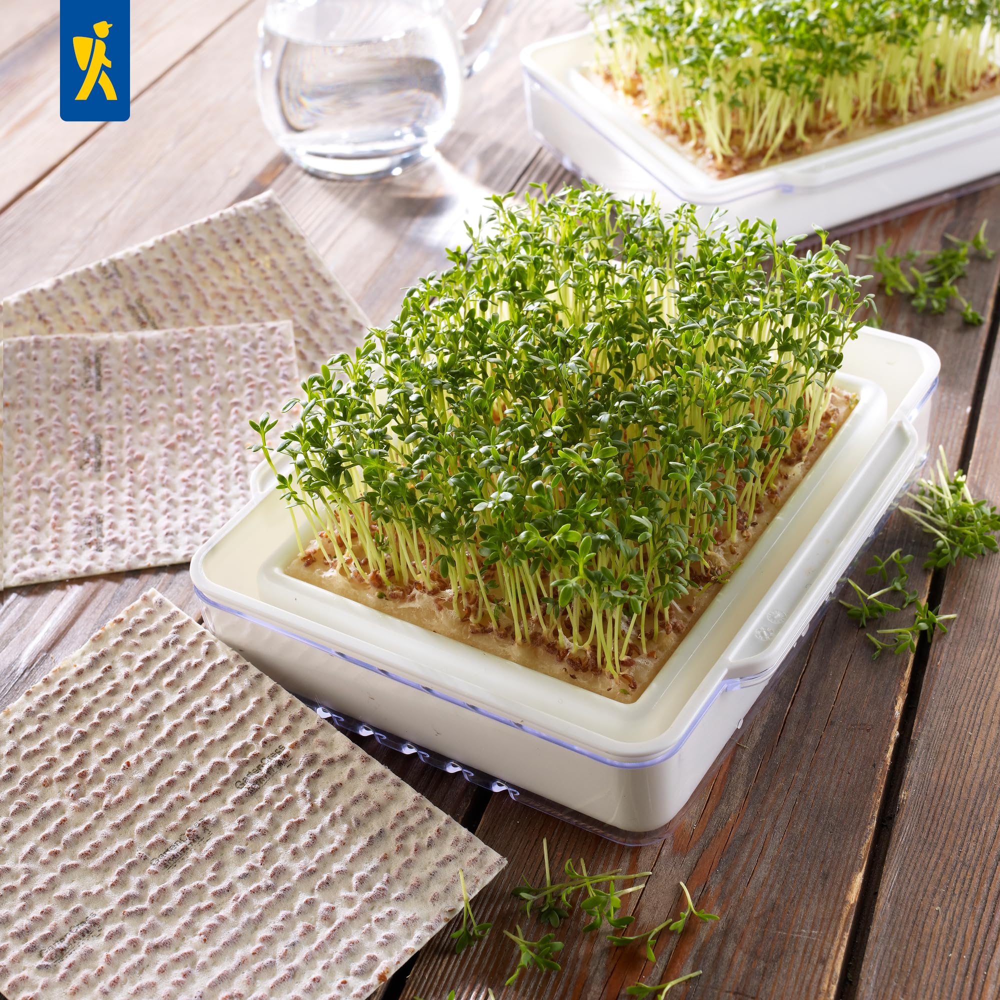 kiepenkerl-bio-microgreen-garden-anzuchtset image 3