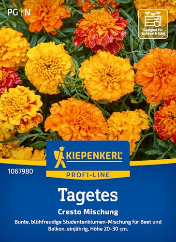 kiepenkerl-tagetessamen-cresto-mischung-1067980-blumensaat image 6