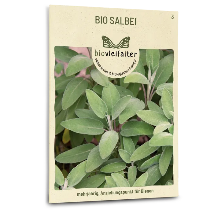 samen-maier-bio-salbei-kr-utersamen image 1