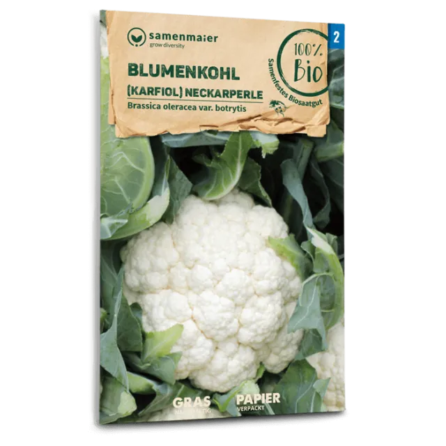 samen-maier-bio-blumenkohl-neckarperle-karfiol-gem-sesamen image 1