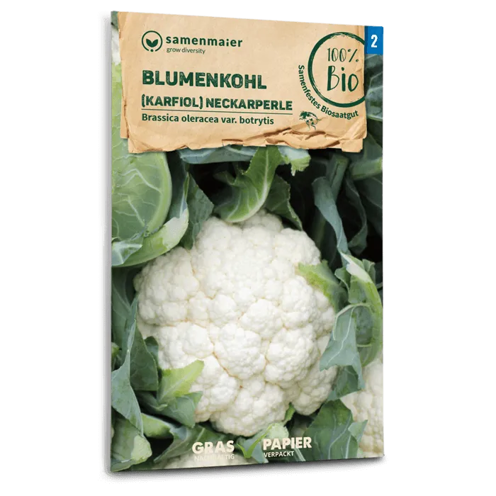 samen-maier-bio-blumenkohl-neckarperle-karfiol-gem-sesamen image 1