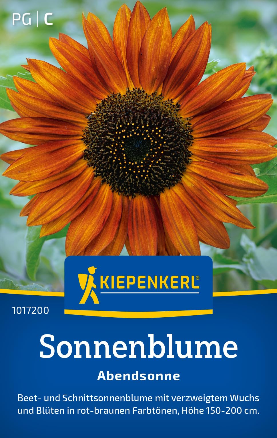 kiepenkerl-sommer-margeritensamen-bunte-wucherblumen-1015900-blumensaat image 7