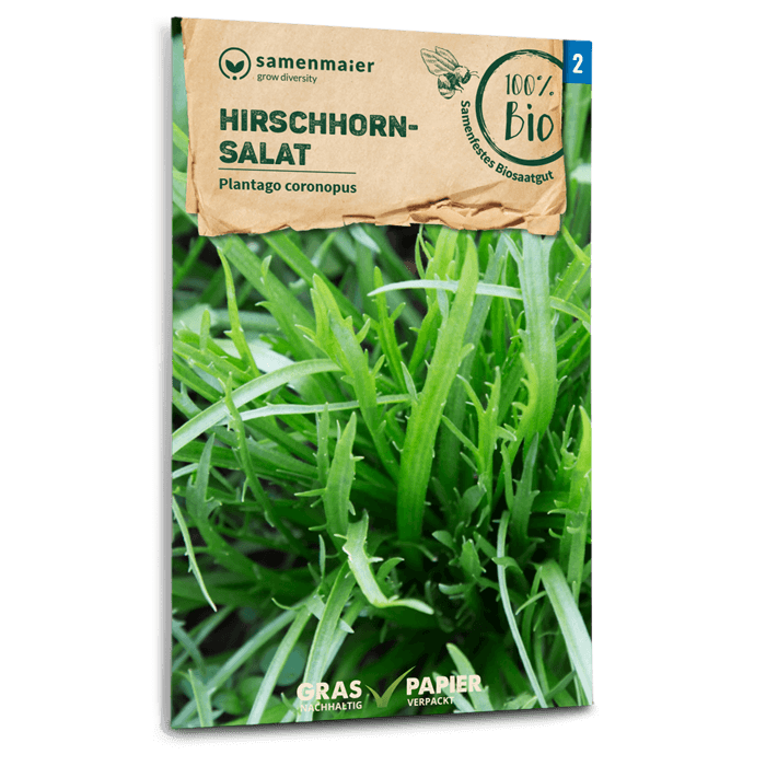samen-maier-bio-hirschhornsalat-saatgut-f-r-freiland image 1