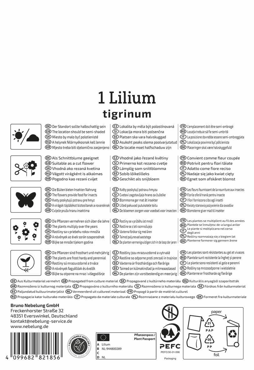 kiepenkerl-tigerlilie-lilium-tigrinum-blumenzwiebeln-rote-gartenlilie-gefleckt image 2