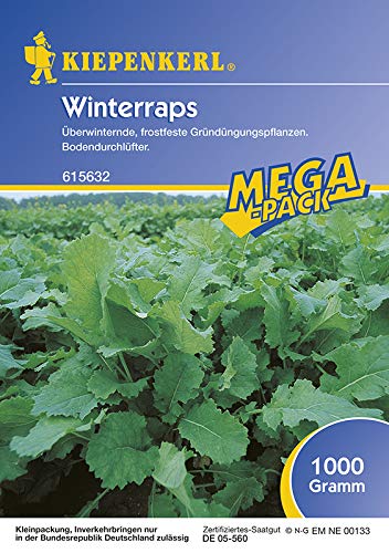 kiepenkerl-winterraps-1-kg-gr-nd-ngung image 1