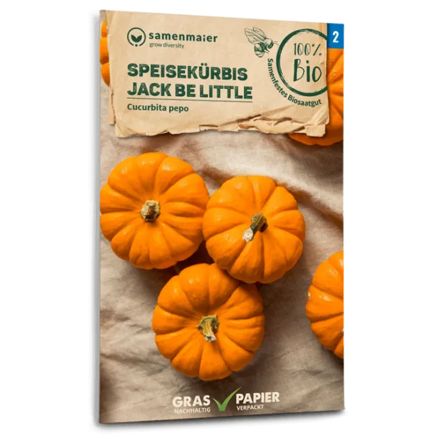 samen-maier-bio-speisek-rbis-jack-be-little-minik-rbis-samen image 1