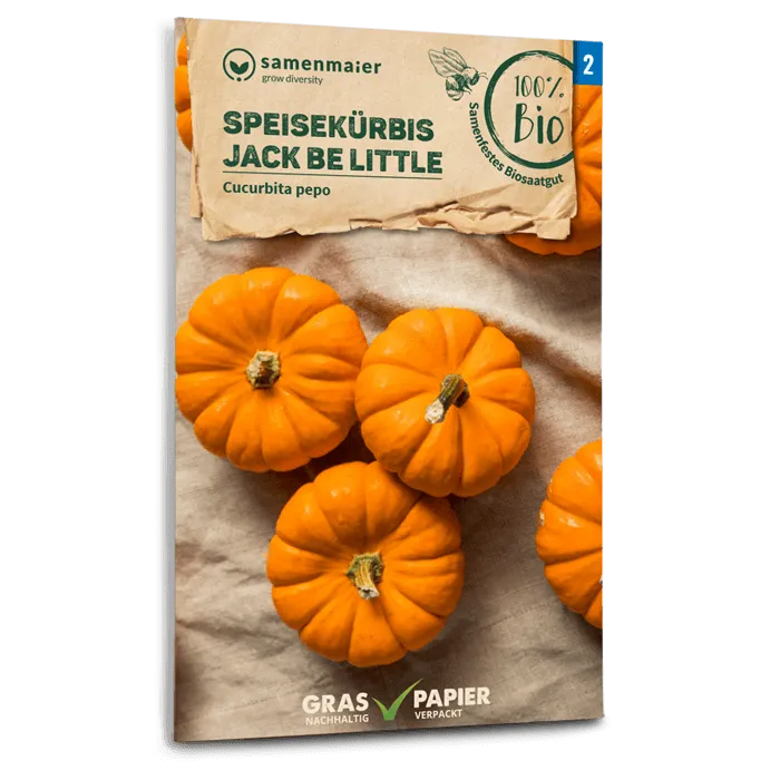 samen-maier-bio-speisek-rbis-jack-be-little-minik-rbis-samen image 1