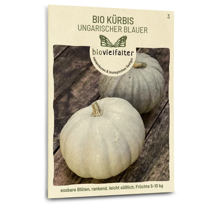 samen-maier-bio-k-rbis-ungarischer-blauer-saatgut image 1