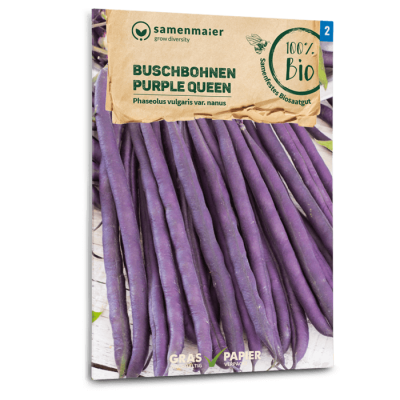 samen-maier-bio-buschbohnen-purple-queen-saatgut image 3