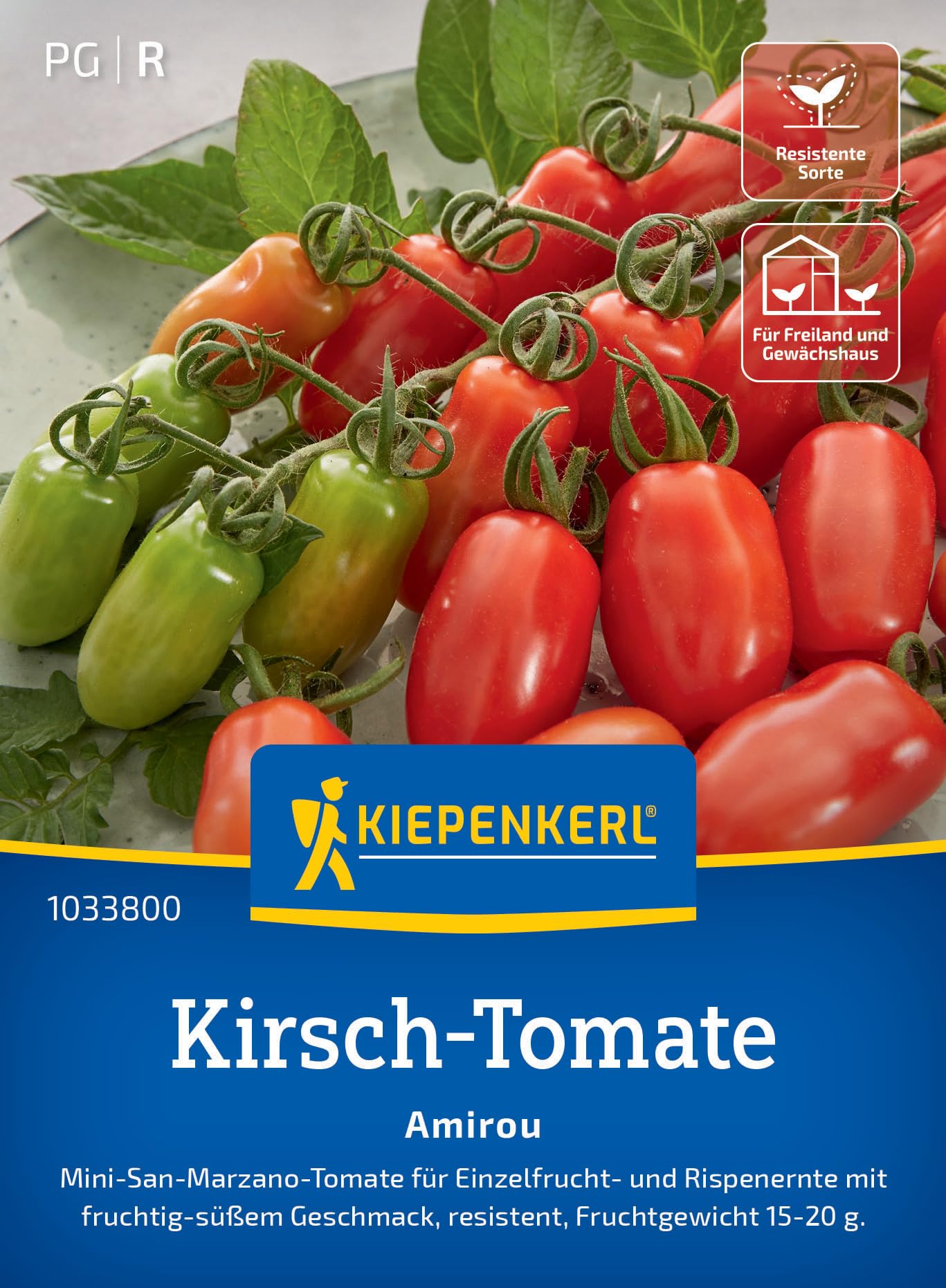 kiepenkerl-fleischtomate-ananas-tomatensamen image 7