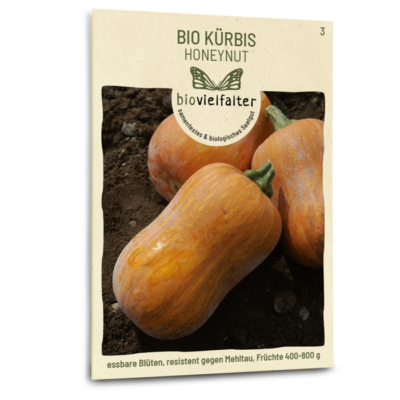 samen-maier-bio-k-rbis-honeynut-butternut-samen image 3