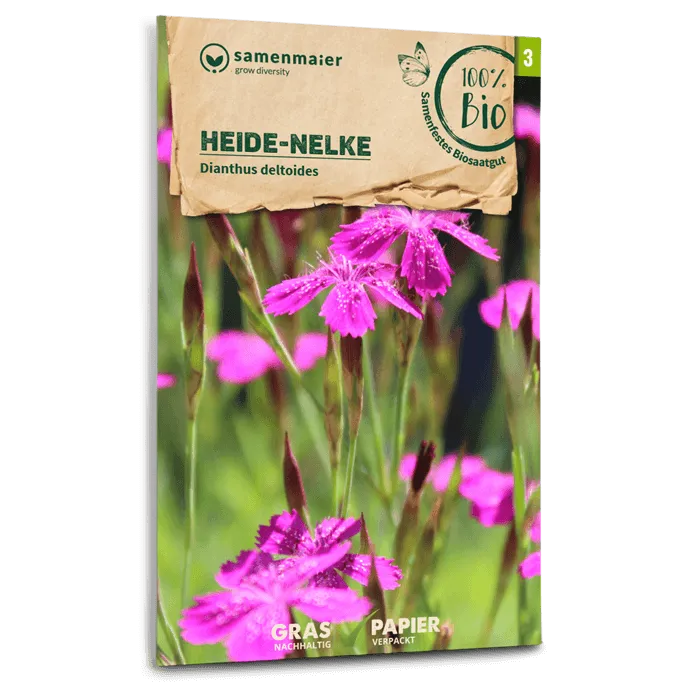 samen-maier-bio-wildblumen-heide-nelke-blumensamen-rosa image 1