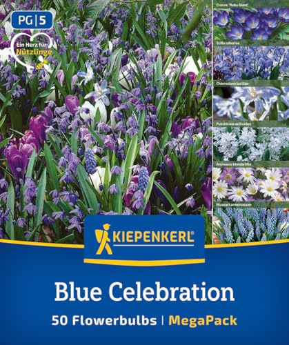 kiepenkerl-mega-pack-blue-celebration-mix-blumenzwiebelmischung-blau-10-25-cm image 8