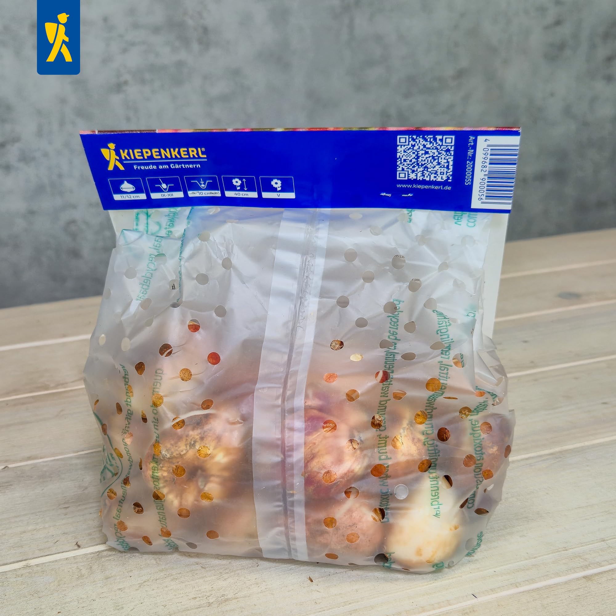 kiepenkerl-tulpenzwiebeln-sea-of-lights-mega-pack-25-pflanzen-mehrfarbig image 5