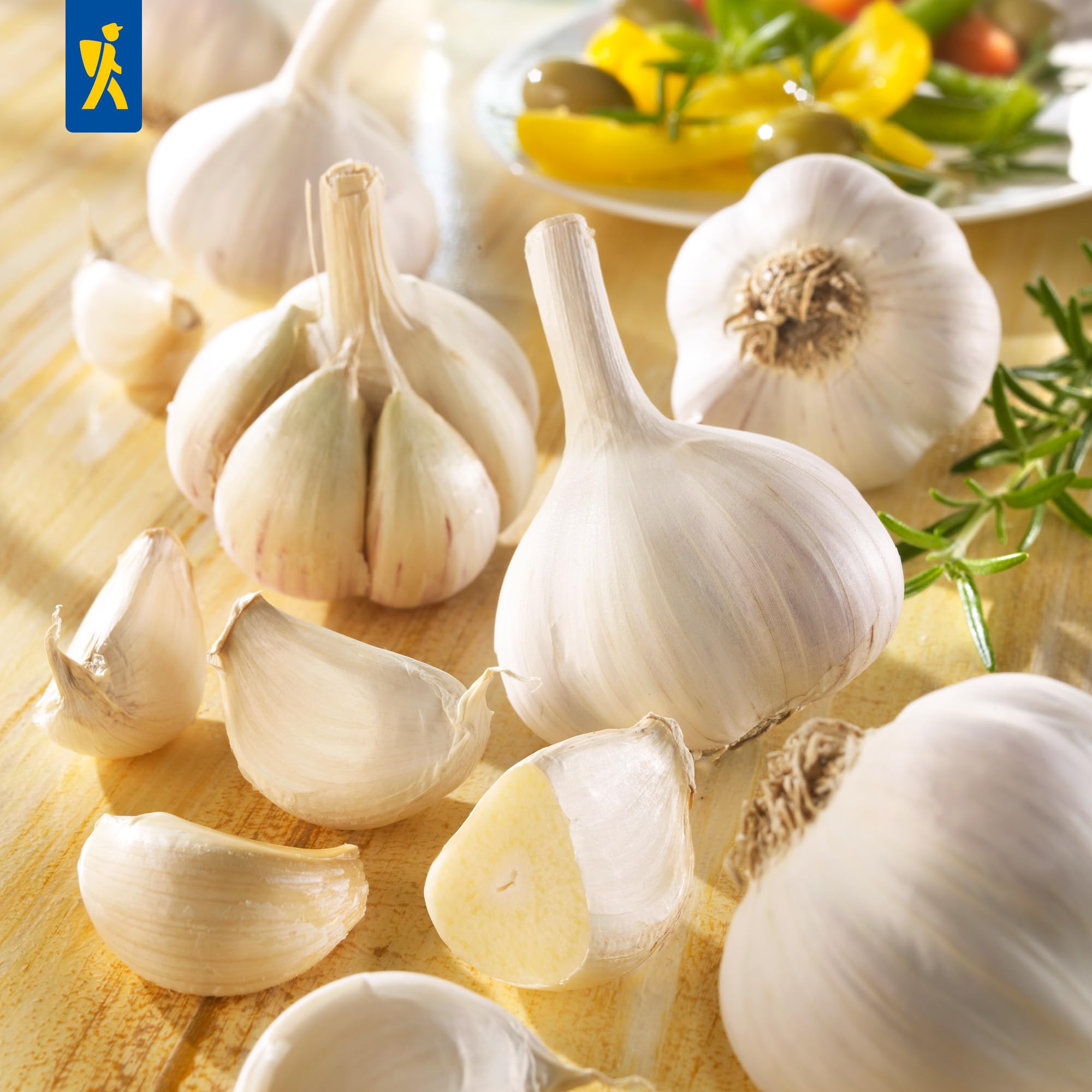 kiepenkerl-profi-line-winterknoblauch-messidrome-pflanzknoblauch-f-r-beet image 3