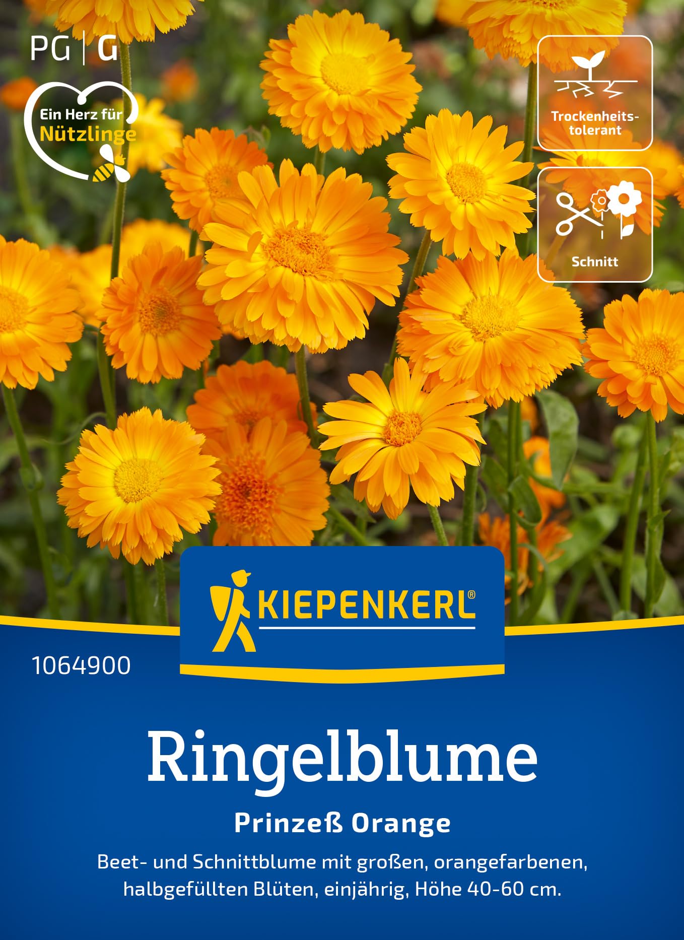 kiepenkerl-nachtviole-violette-matronenblume-1016100-blumensamen image 6