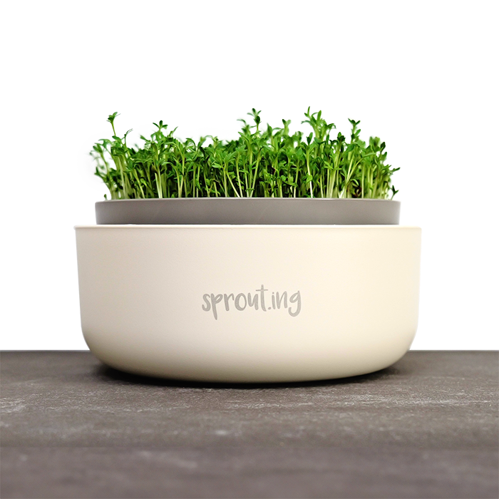samen-maier-sprossen-starterset-sprout-ing image 6
