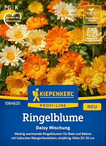 kiepenkerl-daisy-mischung-ringelblumen-sommerblumensamen image 6