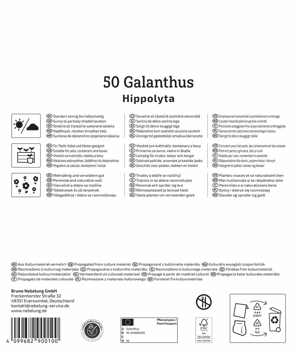kiepenkerl-schneegl-ckchen-hippolyta-2000060-mega-pack-gef-llte-wei-e-blumenzwie image 2
