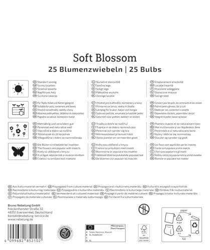 kiepenkerl-mega-pack-soft-blossom-mix-2875041-blumenzwiebelmischung image 8