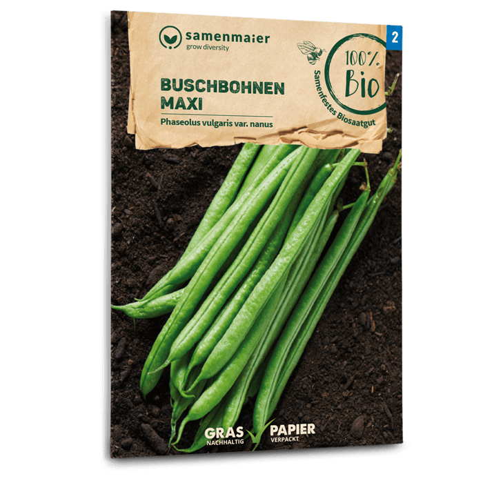 samen-maier-bio-buschbohnen-maxi-saatgut image 1
