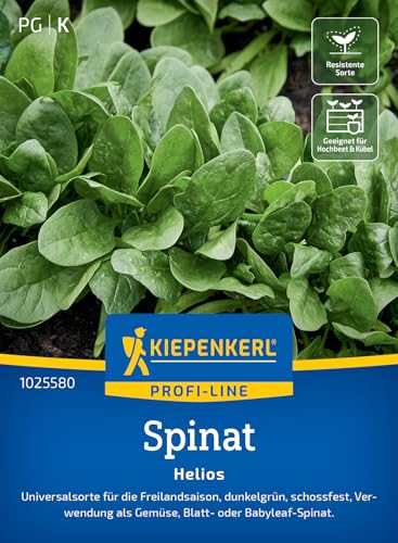 kiepenkerl-spinat-helios-gem-sesaat image 7