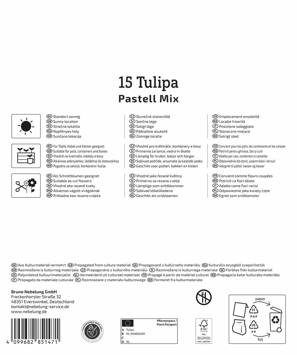 kiepenkerl-profi-line-triumph-tulpe-pastell-farbenspiel-mega-pack-blumenzwiebeln image 2