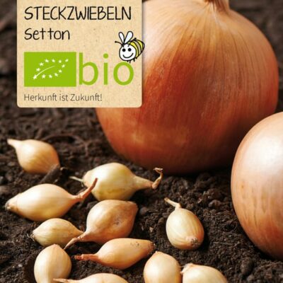 samen-maier-bio-steckzwiebeln-setton-zwiebelsaat-f-r-garten image 2
