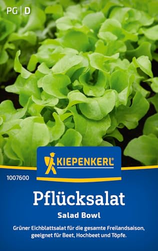 kiepenkerl-pfl-cksalatsamen-salad-bowl-1007600-gem-sesaat image 7