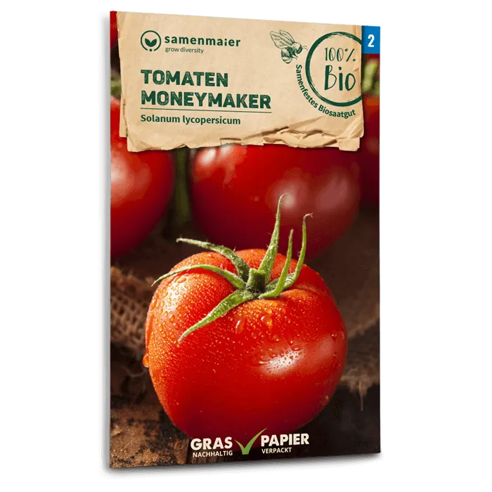 samen-maier-bio-tomaten-moneymaker-saatgut image 1