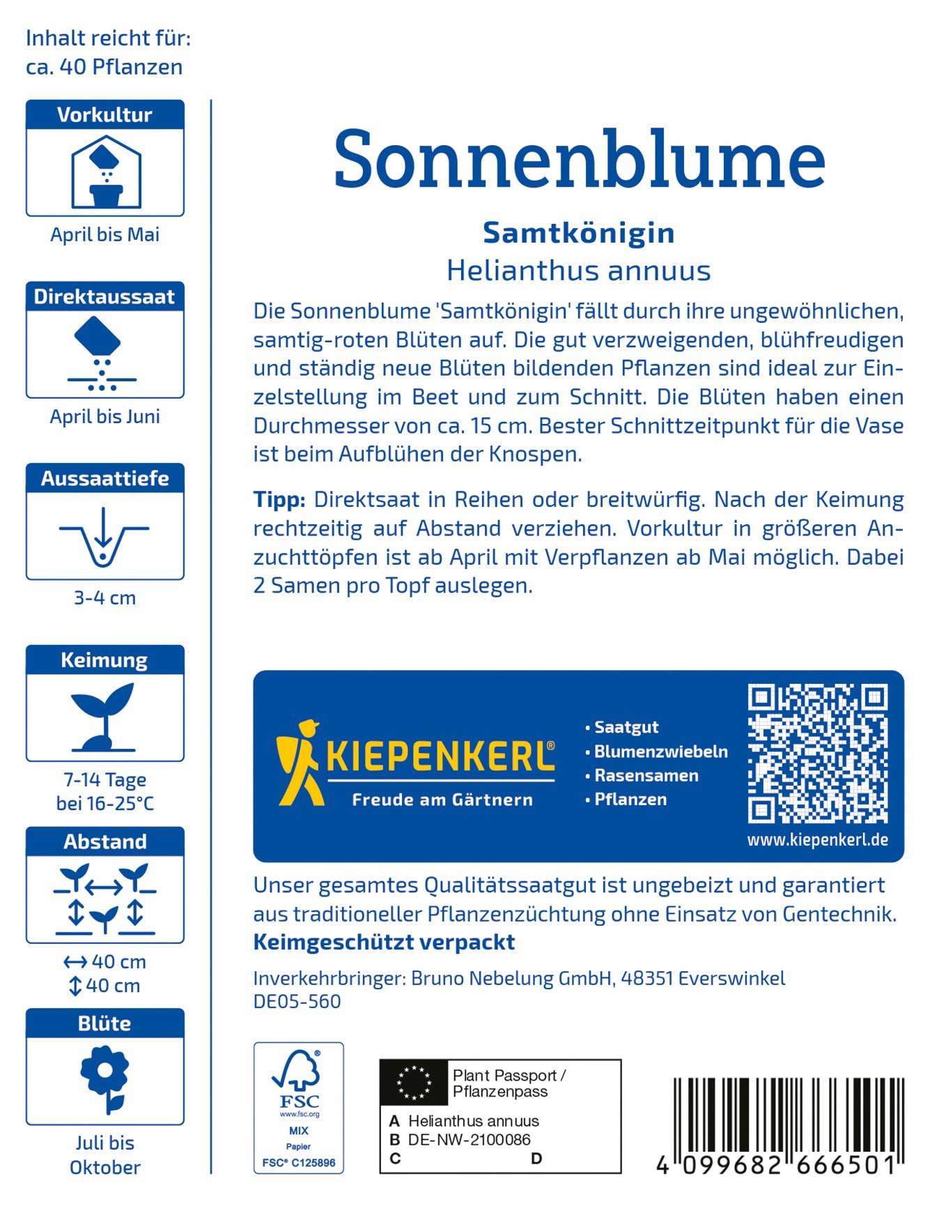 kiepenkerl-sonnenblume-samtk-nigin-blumensaat image 2