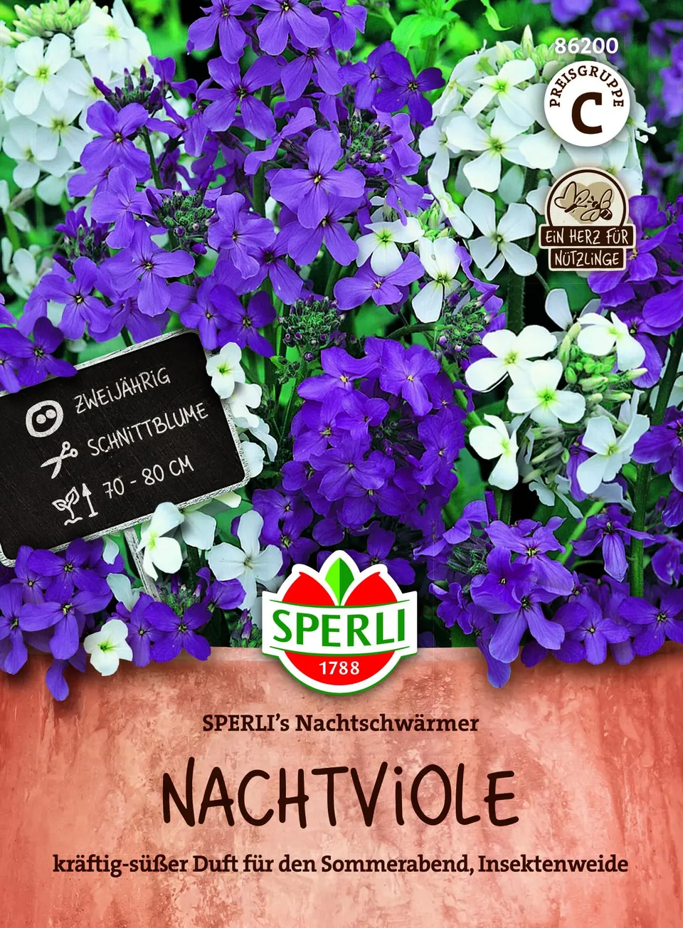sperli-nachtviole-nachtschw-rmer-duftende-blumensamen image 1