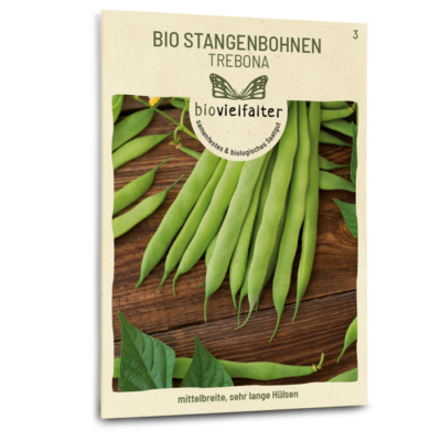 samen-maier-bio-stangenbohnen-trebona-samen image 3