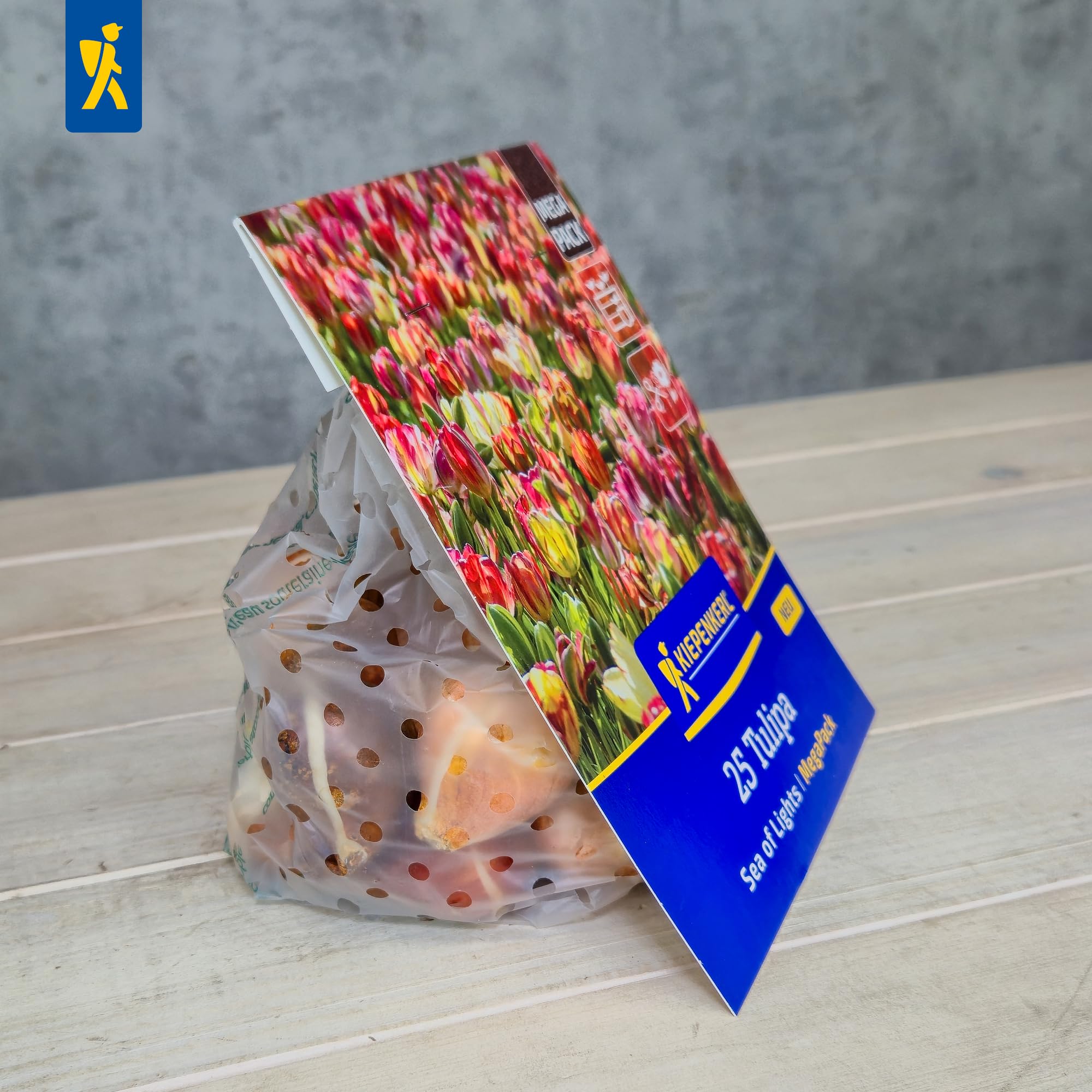 kiepenkerl-tulpenzwiebeln-sea-of-lights-mega-pack-25-pflanzen-mehrfarbig image 4