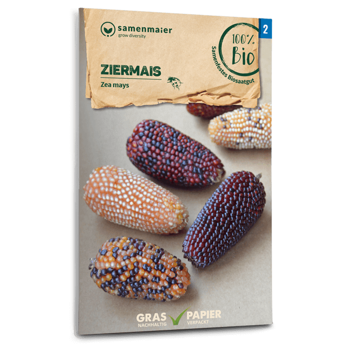 samen-maier-bio-ziermais-saatgut image 1