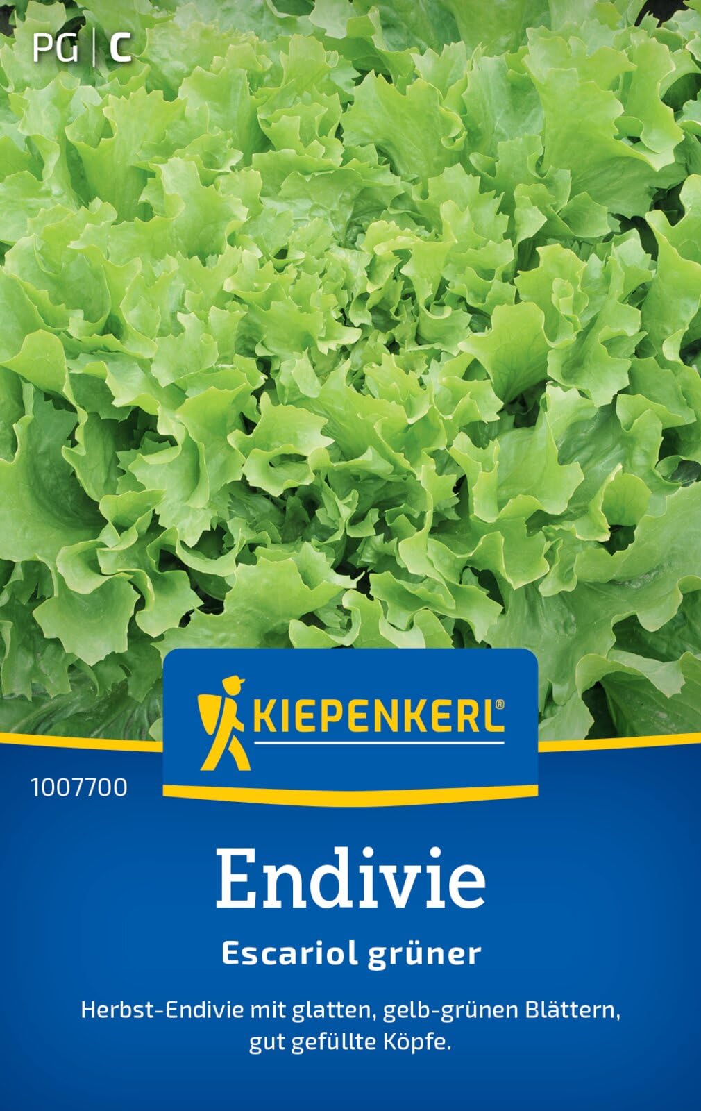 kiepenkerl-endiviensalat-breedblad-volhart-winter-303 image 1