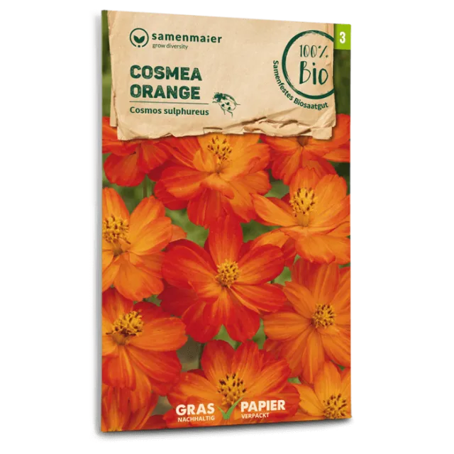 samen-maier-bio-cosmea-orange-blumensamen image 1