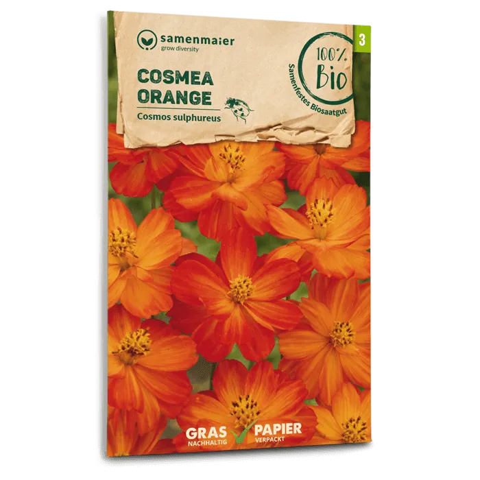 samen-maier-bio-cosmea-orange-blumensamen image 1