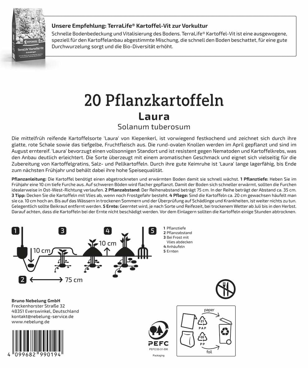 kiepenkerl-pflanzkartoffel-laura-20-st-ck-mittelfr-he-speisekartoffel image 2