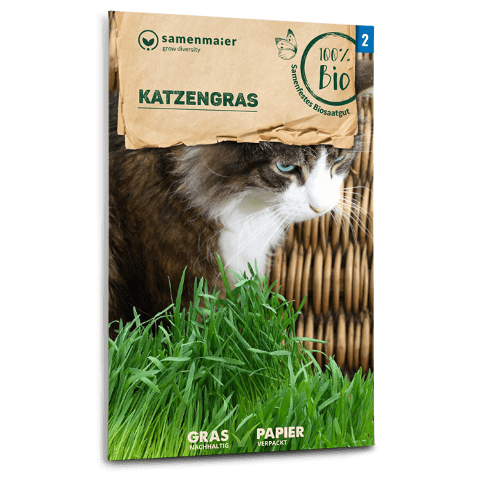 samen-maier-bio-katzengras-saatgut image 1