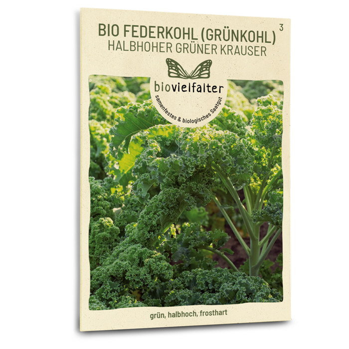 samen-maier-bio-federkohl-halbhoher-gr-ner-krauser-saatgut image 1