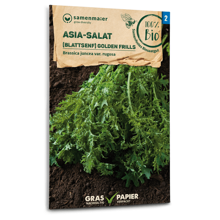 samen-maier-bio-asia-salat-golden-frills-blattsenf-saatgut image 1