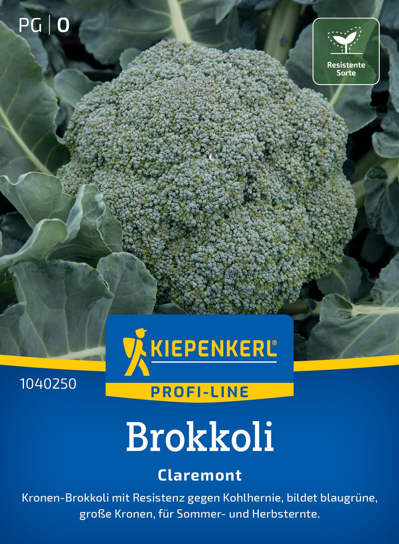 kiepenkerl-profi-line-brokkolisamen-burgundy-1040200-gem-sesaat image 7
