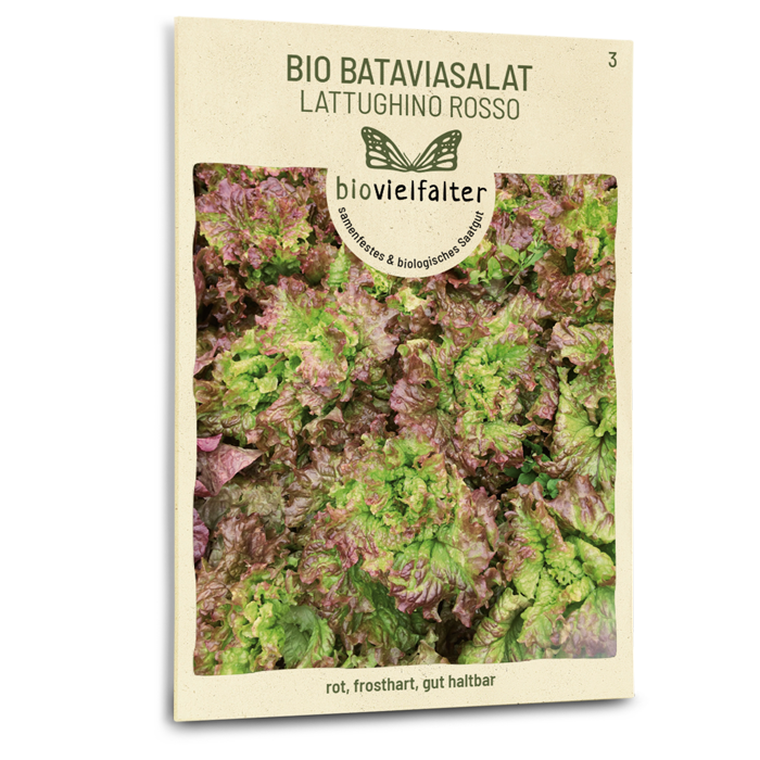 samen-maier-bio-bataviasalat-lattughino-rosso-samen image 1