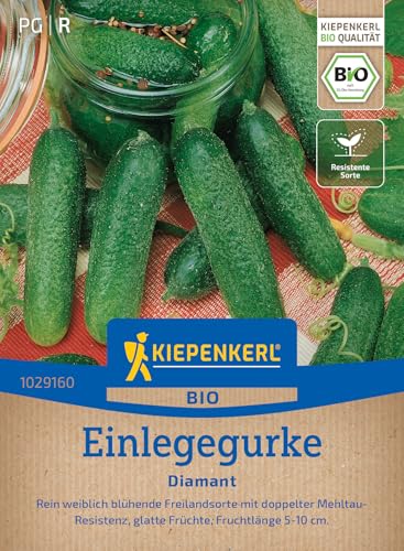 kiepenkerl-einlegegurkensamen-diamant-1029160-gem-sesaat image 7