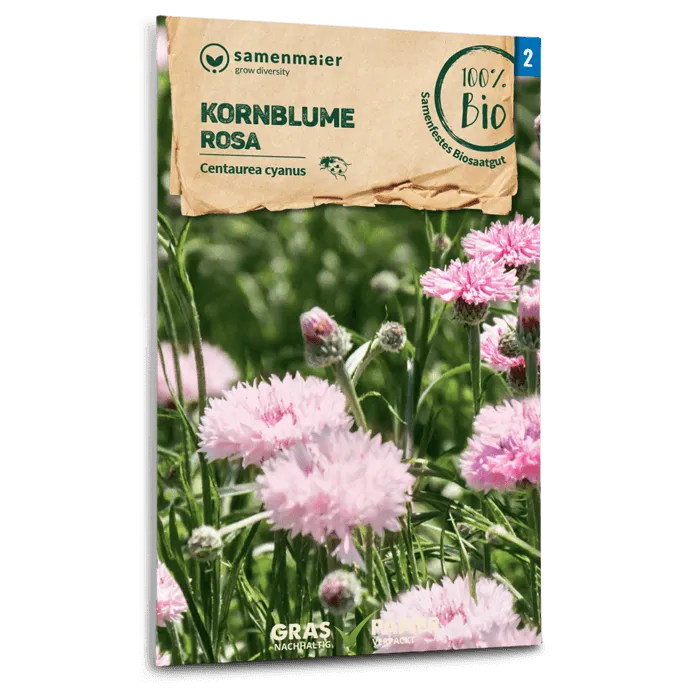 samen-maier-bio-kornblume-rosa-blumensamen-60-80-cm image 1