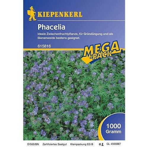 kiepenkerl-phacelia-gr-nd-nger-mega-pack-1-kg-bienenfreund-bodenverbesserung image 1